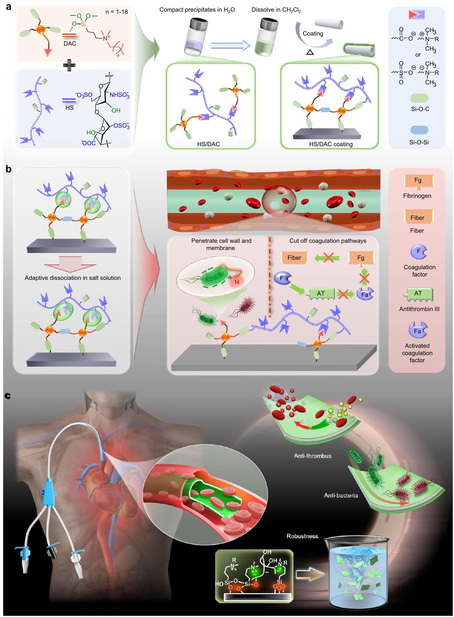 طلاءات طويلة الأمد متوسطة بواسطة شبكة الهيبارين على القثاطير داخل الأوعية الدموية لمكافحة التخثر التكيفية والعدوى البكتيرية Heparin-network-mediated long-lasting coatings on intravascular catheters for adaptive antithrombosis and antibacterial infection