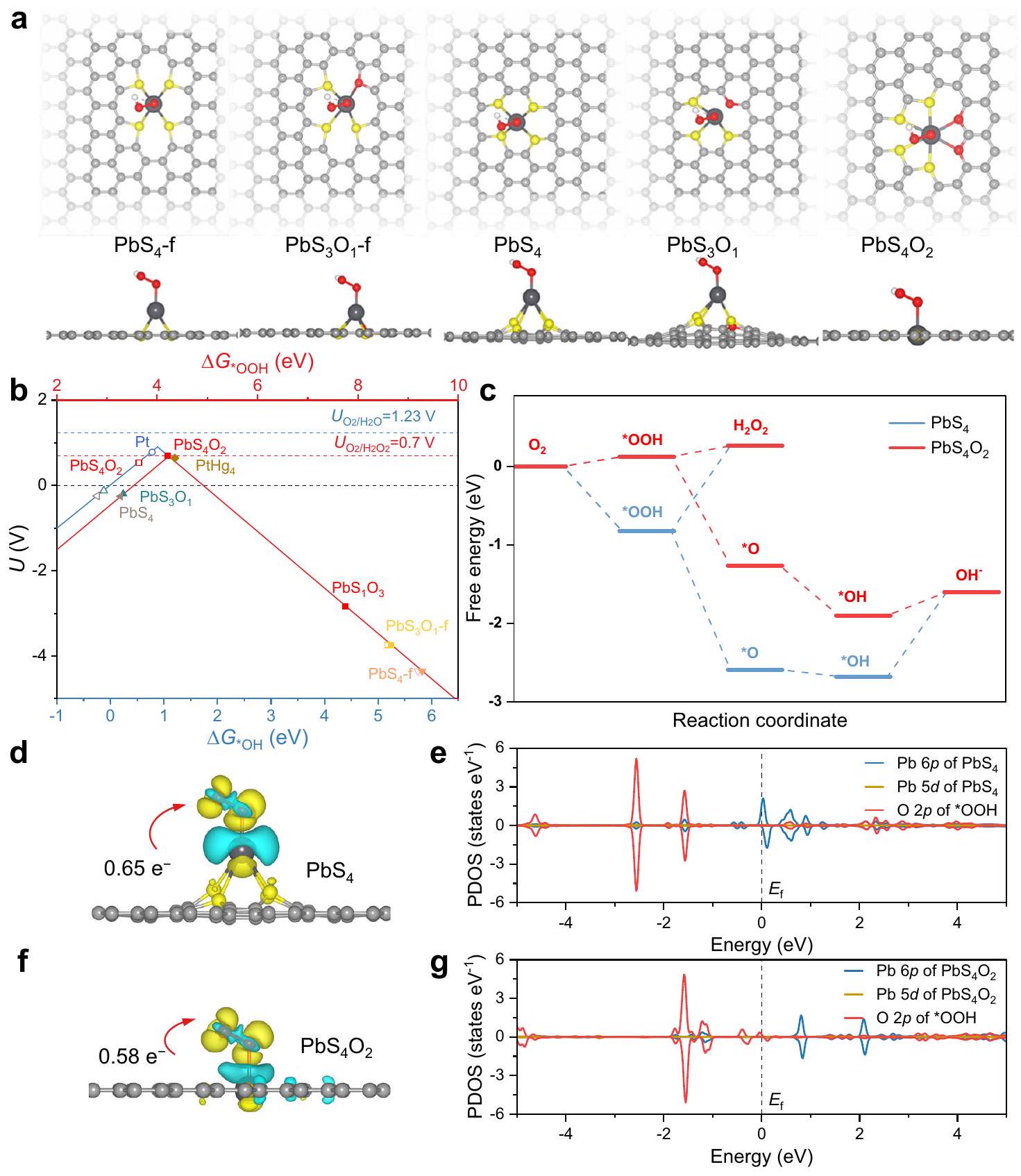 بناء محفزات كهربائية فائقة التنسيق من الكبريت والأكسجين لإنتاج H2O2 الانتقائي والتراكمي Constructing sulfur and oxygen super-coordinated main-group electrocatalysts for selective and cumulative H2O2 production