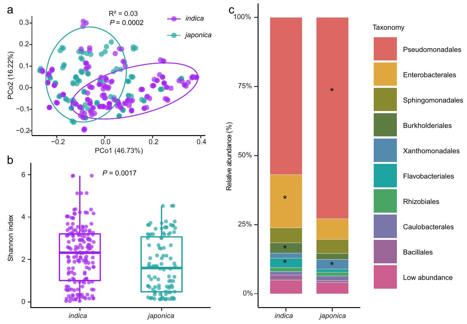 توازن الميكروبيوم على أوراق الأرز يتم تنظيمه بواسطة جزيء سابق في تخليق اللجنين Microbiome homeostasis on rice leaves is regulated by a precursor molecule of lignin biosynthesis