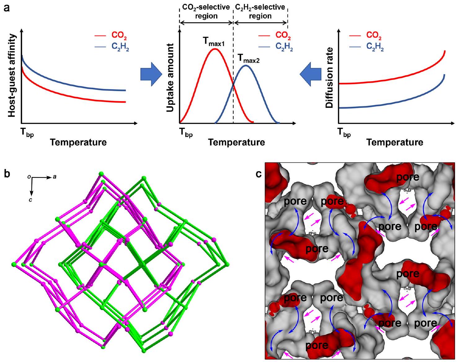 تغيير انتقائية التعرف الجزيئي حسب درجة الحرارة في مادة مسامية منظمة للانتشار Switching molecular recognition selectivities by temperature in a diffusion-regulatory porous material