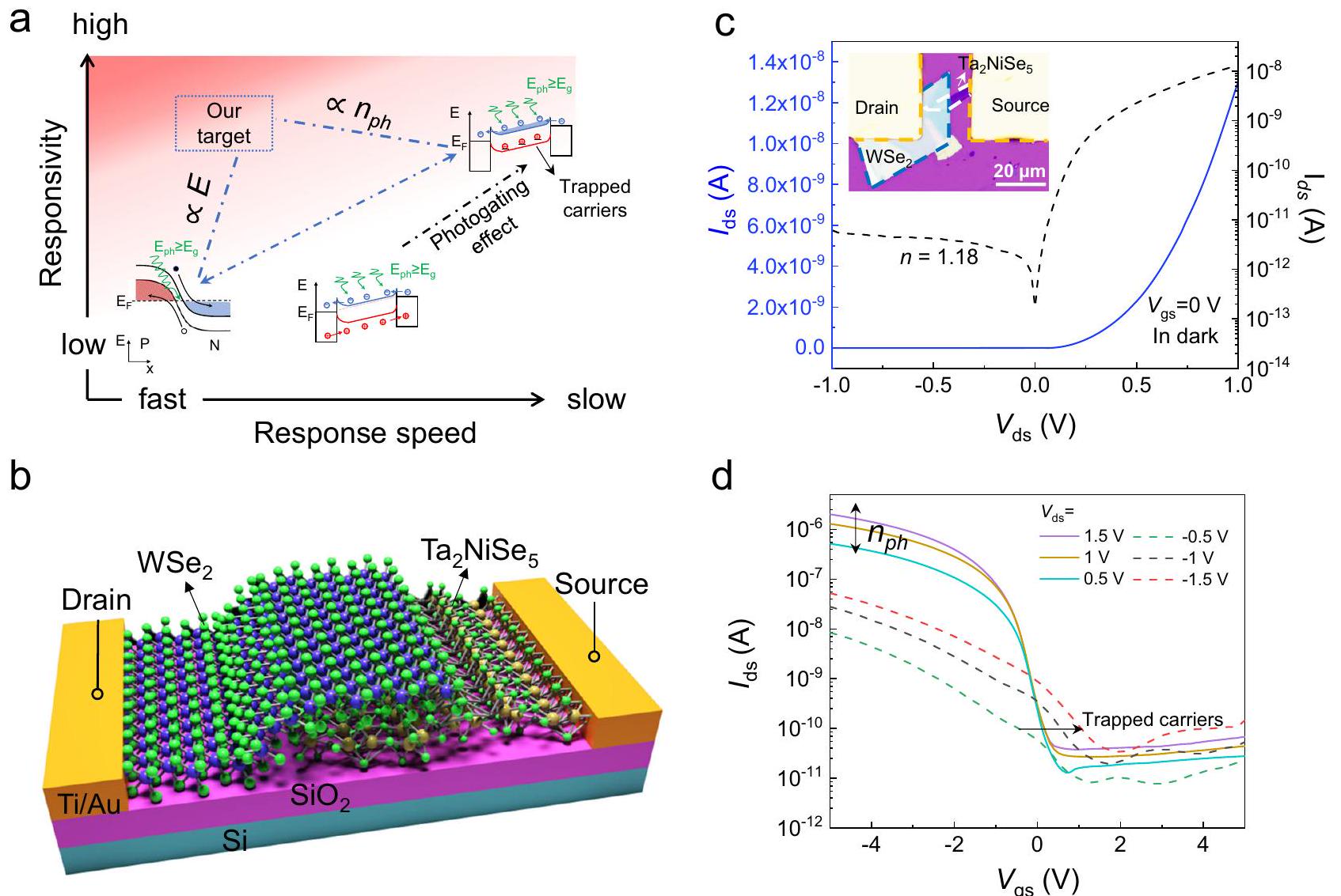 تعزيز الاستجابة والسرعة لمكتشفات الضوء غير المتجانسة WSe2/Ta2NiSe5 بمساعدة الفوتوجيتينغ في النفق Photogating-assisted tunneling boosts the responsivity and speed of heterogeneous WSe2/Ta2NiSe5 photodetectors