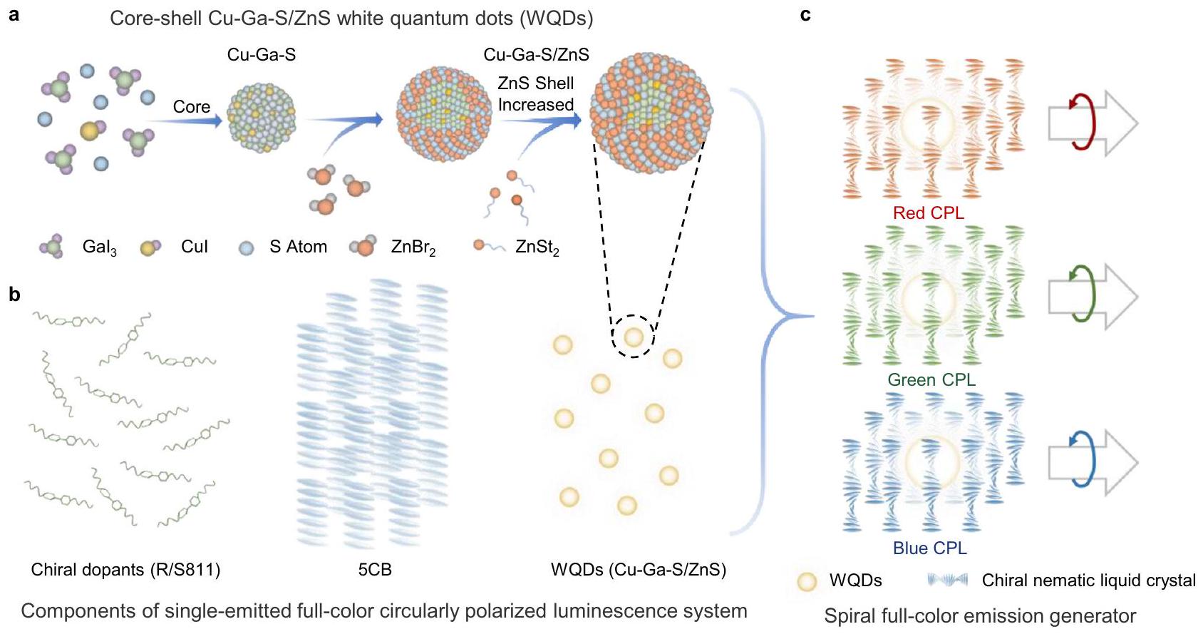الاحتجاز الحلزوني يمكّن من انبعاث ضوئي دائري مستقطب كامل الألوان كبير وغير متماثل Helical-caging enables single-emitted large asymmetric full-color circularly polarized luminescence