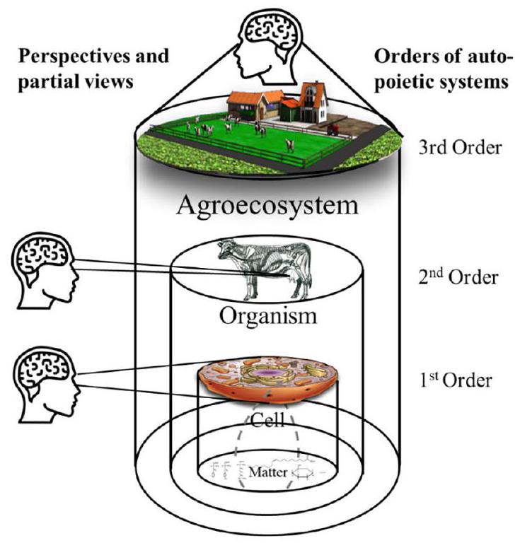 لماذا لم تؤدِ علوم الحيوان إلى تحسين صحة ورفاهية الحيوانات الزراعية؟ Why has animal science not led to improved farm animal health and welfare?