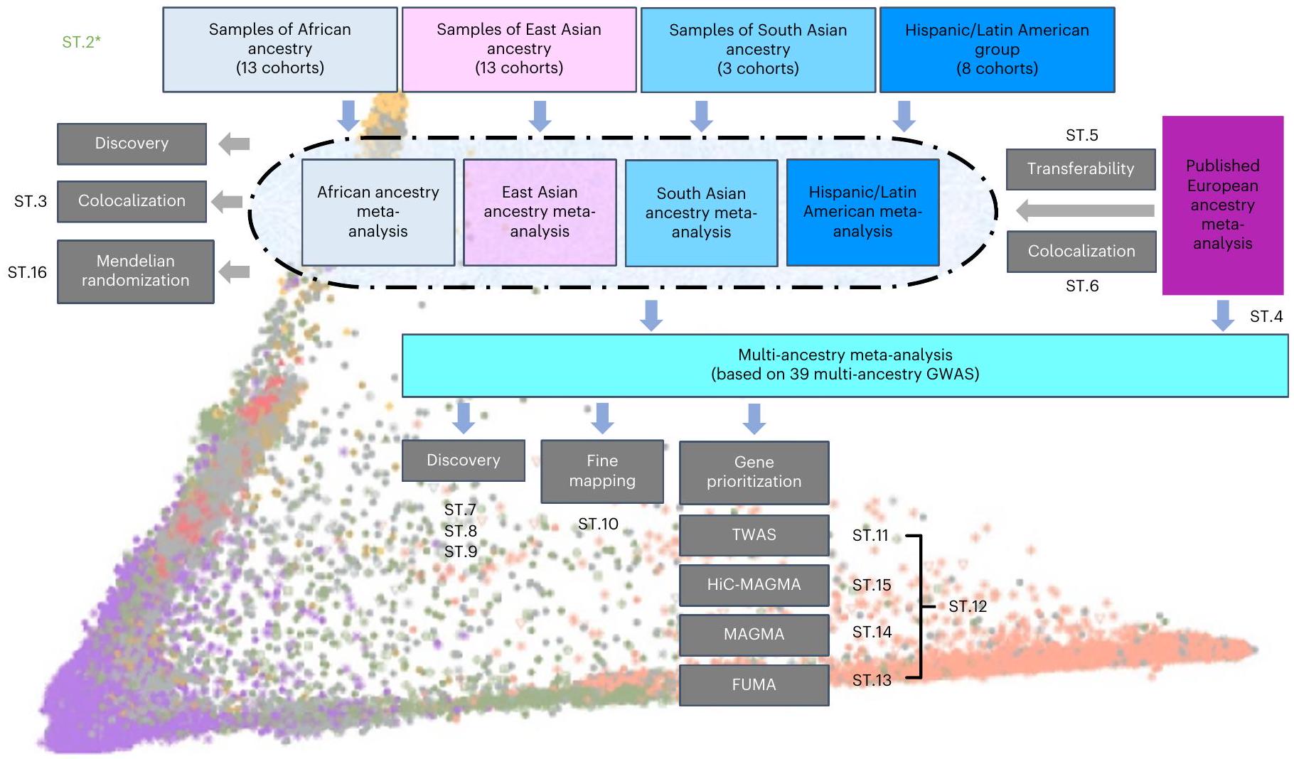 دراسة ارتباط جينومي واسعة النطاق متعددة الأنساب للاكتئاب الشديد تساعد في اكتشاف المواقع، التحديد الدقيق، ترتيب الأولويات الجينية والاستدلال السببي Multi-ancestry genome-wide association study of major depression aids locus discovery, fine mapping, gene prioritization and causal inference