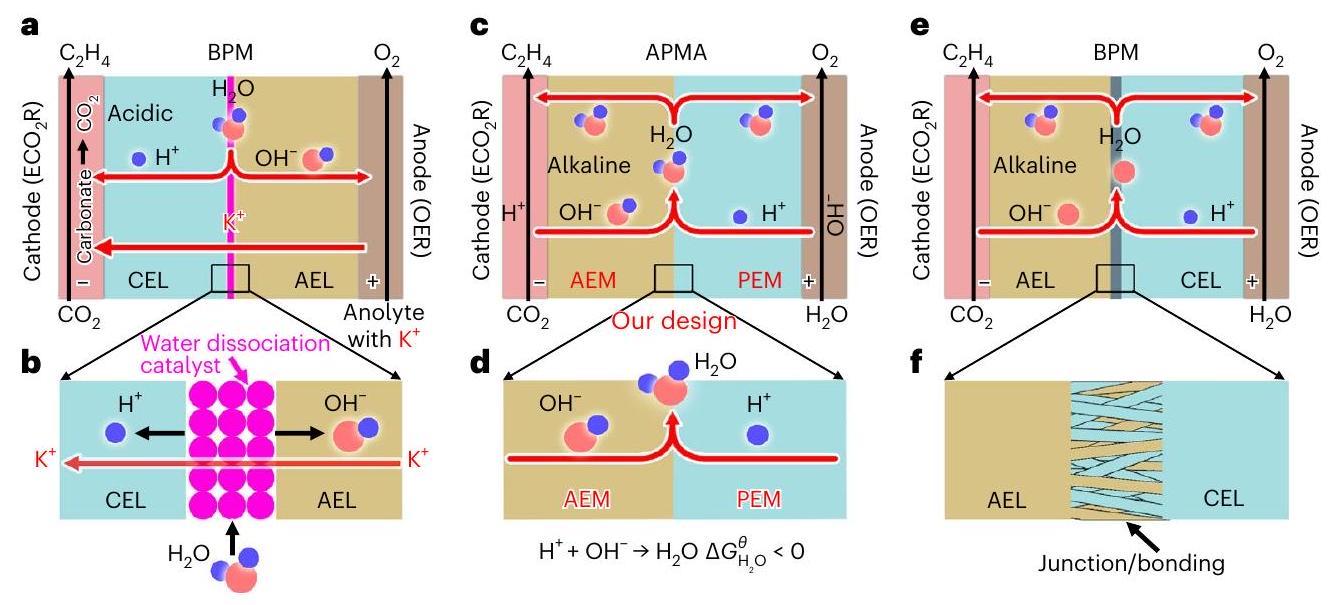 تخفيض ثاني أكسيد الكربون إلى الإيثيلين باستخدام الماء النقي كوسيلة تغذية، مع استقرار يتجاوز 1000 ساعة عند 10 أمبير Pure-water-fed, electrocatalytic CO2 reduction to ethylene beyond 1,000 h stability at 10 A