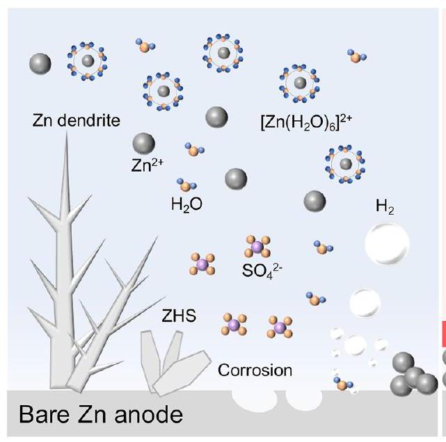 إطار عضوي تساهمي ذو قنوات ثلاثية الأبعاد مرتبة ومجموعات متعددة الوظائف يمنح الأنود الزنك استقرارًا فائقًا Covalent Organic Framework with 3D Ordered Channel and Multi-Functional Groups Endows Zn Anode with Superior Stability