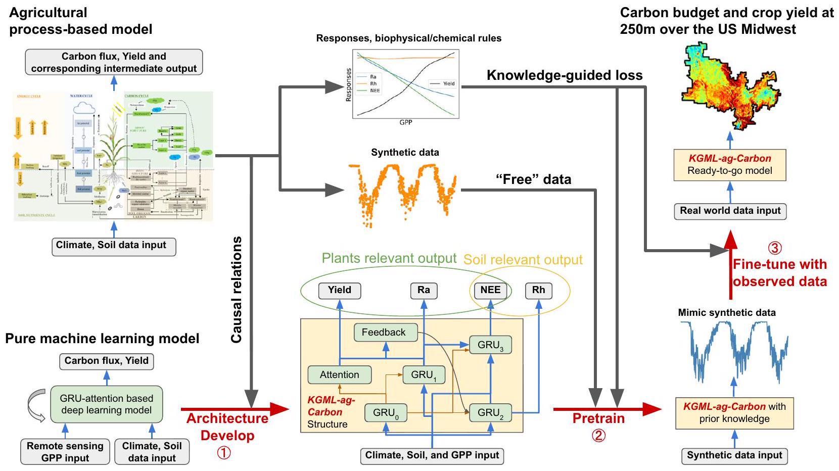 يمكن أن يحسن التعلم الآلي الموجه بالمعرفة من تقدير دورة الكربون في النظم الزراعية Knowledge-guided machine learning can improve carbon cycle quantification in agroecosystems