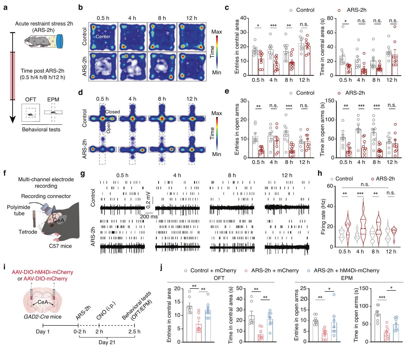 تتحكم الخلايا الدبقية الصغيرة في انقراض سلوكيات القلق الناتجة عن الإجهاد الحاد في ذكور الفئران Microglia govern the extinction of acute stress-induced anxiety-like behaviors in male mice