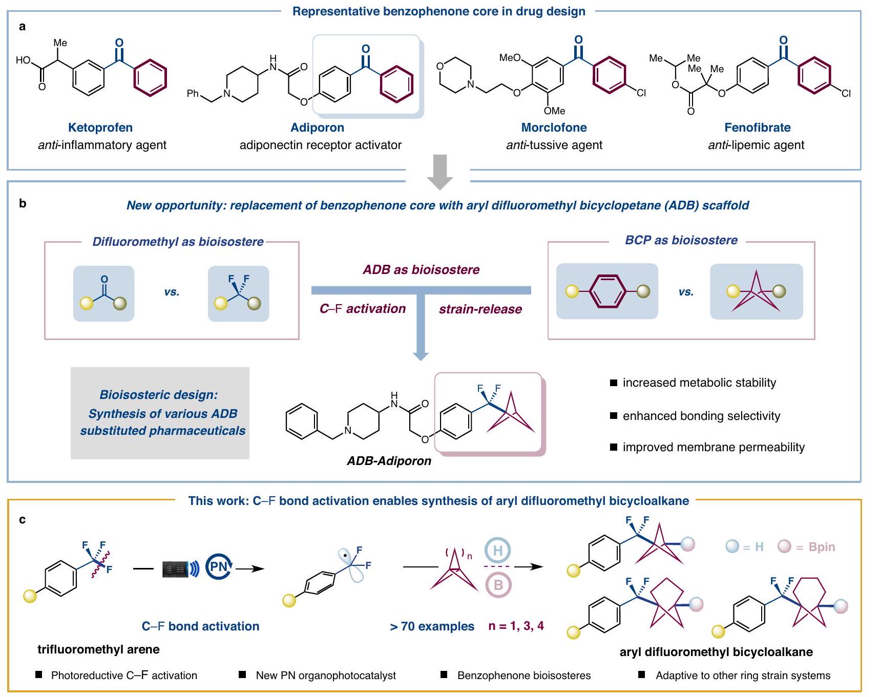 تنشيط رابطة C-F يمكّن من تخليق ثنائي فلوروميثيل أريلي ثنائي الحلقة كبدائل حيوية من نوع بنزوفينون C−F bond activation enables synthesis of aryl difluoromethyl bicyclopentanes as benzophenone-type bioisosteres