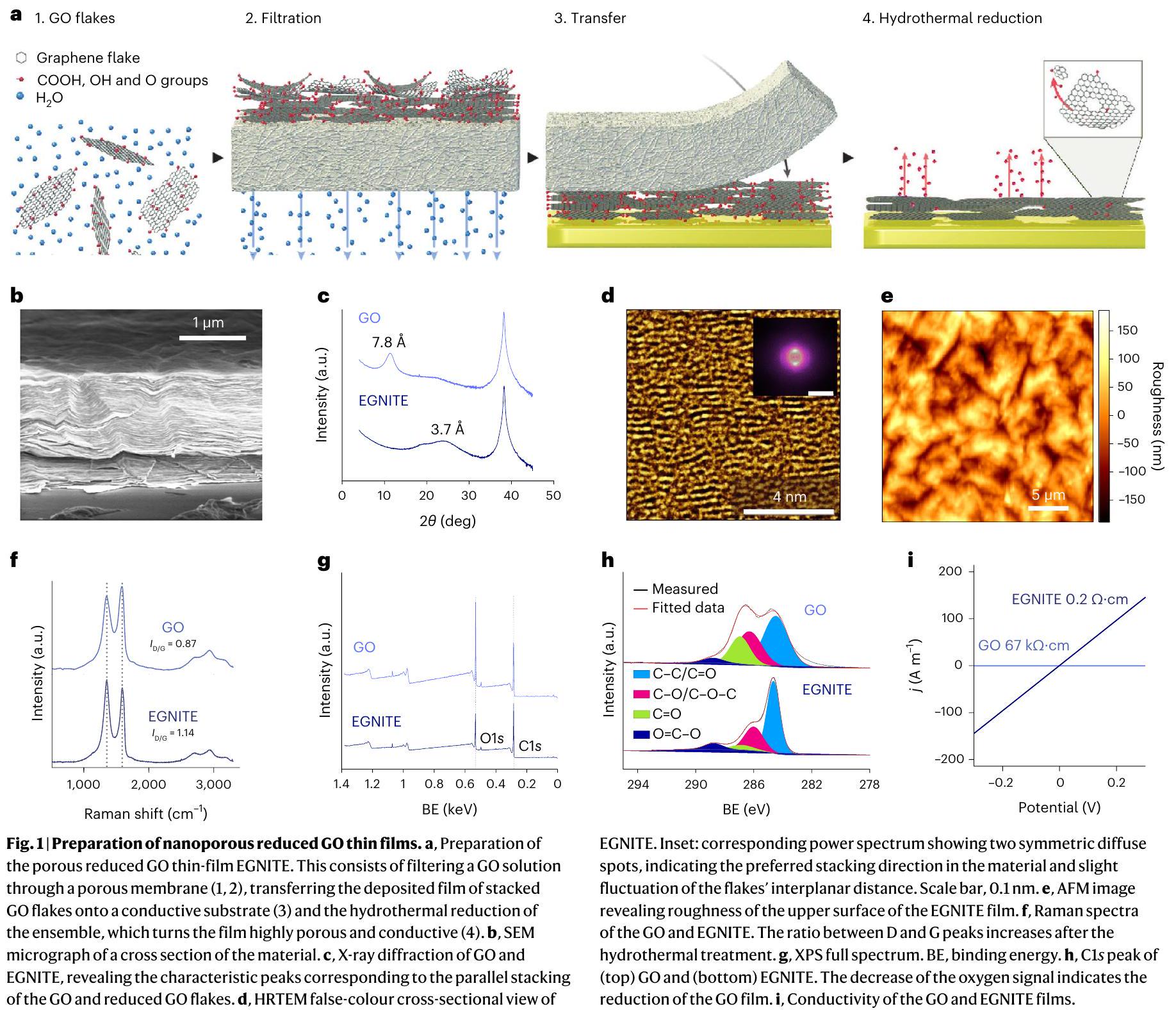 أقطاب ميكروية رقيقة قائمة على الجرافين المسامي النانوي للتسجيل العصبي والتحفيز عالي الدقة في الجسم الحي Nanoporous graphene-based thin-film microelectrodes for in vivo high-resolution neural recording and stimulation