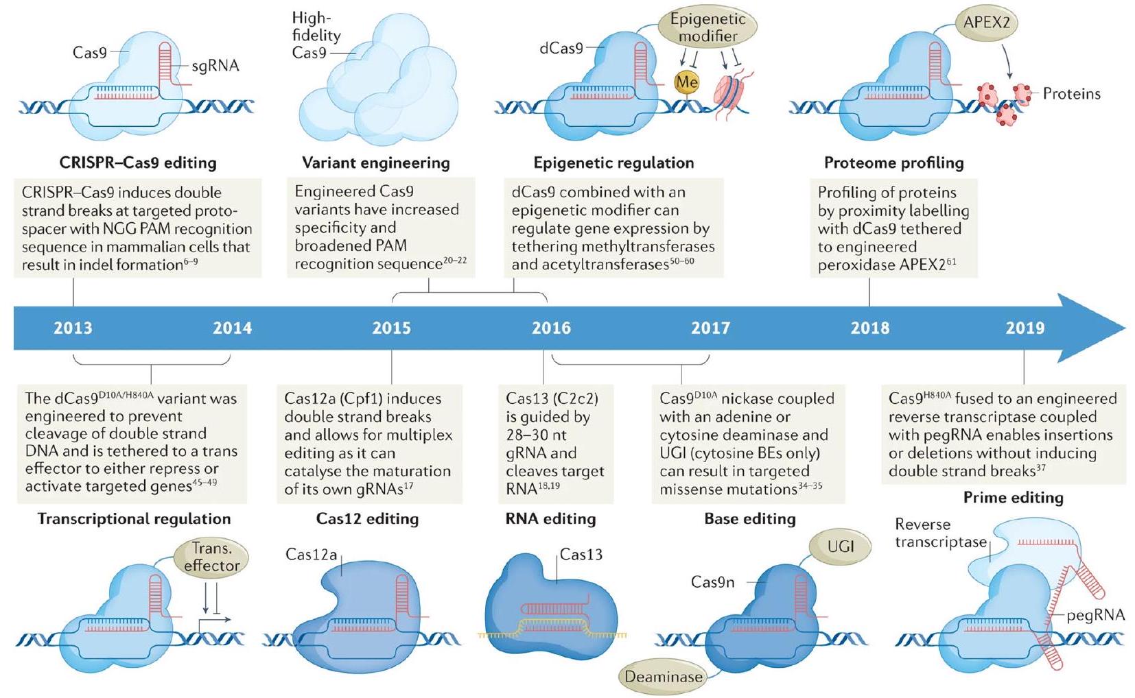 مراجعة شاملة لتحرير الجينات المعتمد على CRISPR: الآليات والتحديات والتطبيقات في علاج السرطان Comprehensive review of CRISPR-based gene editing: mechanisms, challenges, and applications in cancer therapy