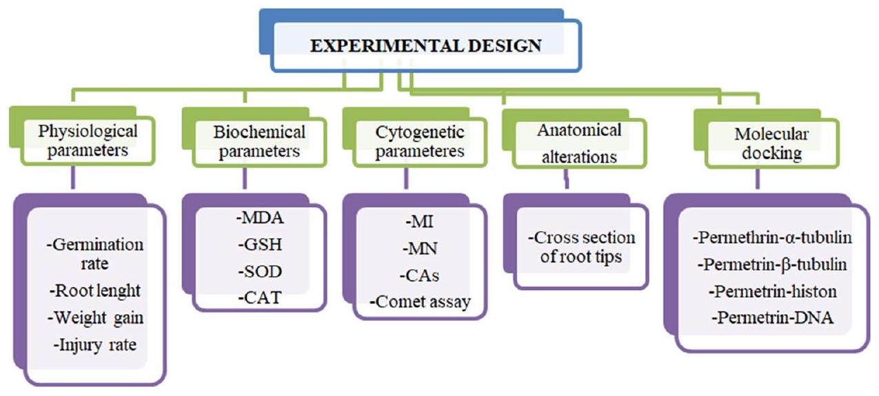 دراسات حية ودراسات حاسوبية لتحديد آليات سمية البيرميثرين مع الدور المخفف للسمية للزنجبيل In-vivo and in-silico studies to identify toxicity mechanisms of permethrin with the toxicity-reducing role of ginger