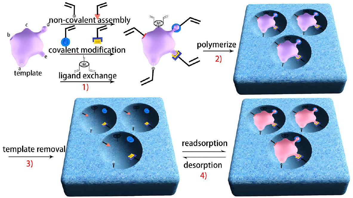 التقدمات الحديثة في أجهزة الاستشعار الكهروكيميائية المعتمدة على البوليمرات المطبوعة جزيئيًا Recent advances in molecularly imprinted polymer-based electrochemical sensors