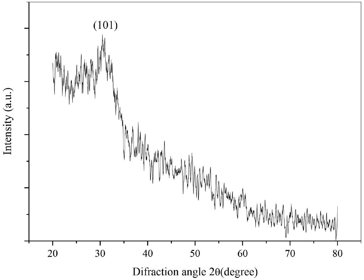 تعديلات نمو القمح بواسطة جزيئات السيلينيوم النانوية تحت ضغط الملوحة Modulations of wheat growth by selenium nanoparticles under salinity stress