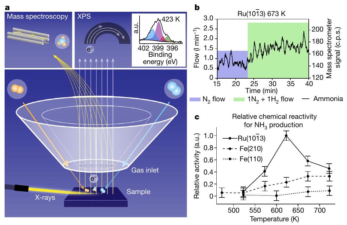 استكشاف الكيمياء السطحية أثناء عملية هابر-بوش Operando probing of the surface chemistry during the Haber–Bosch process
