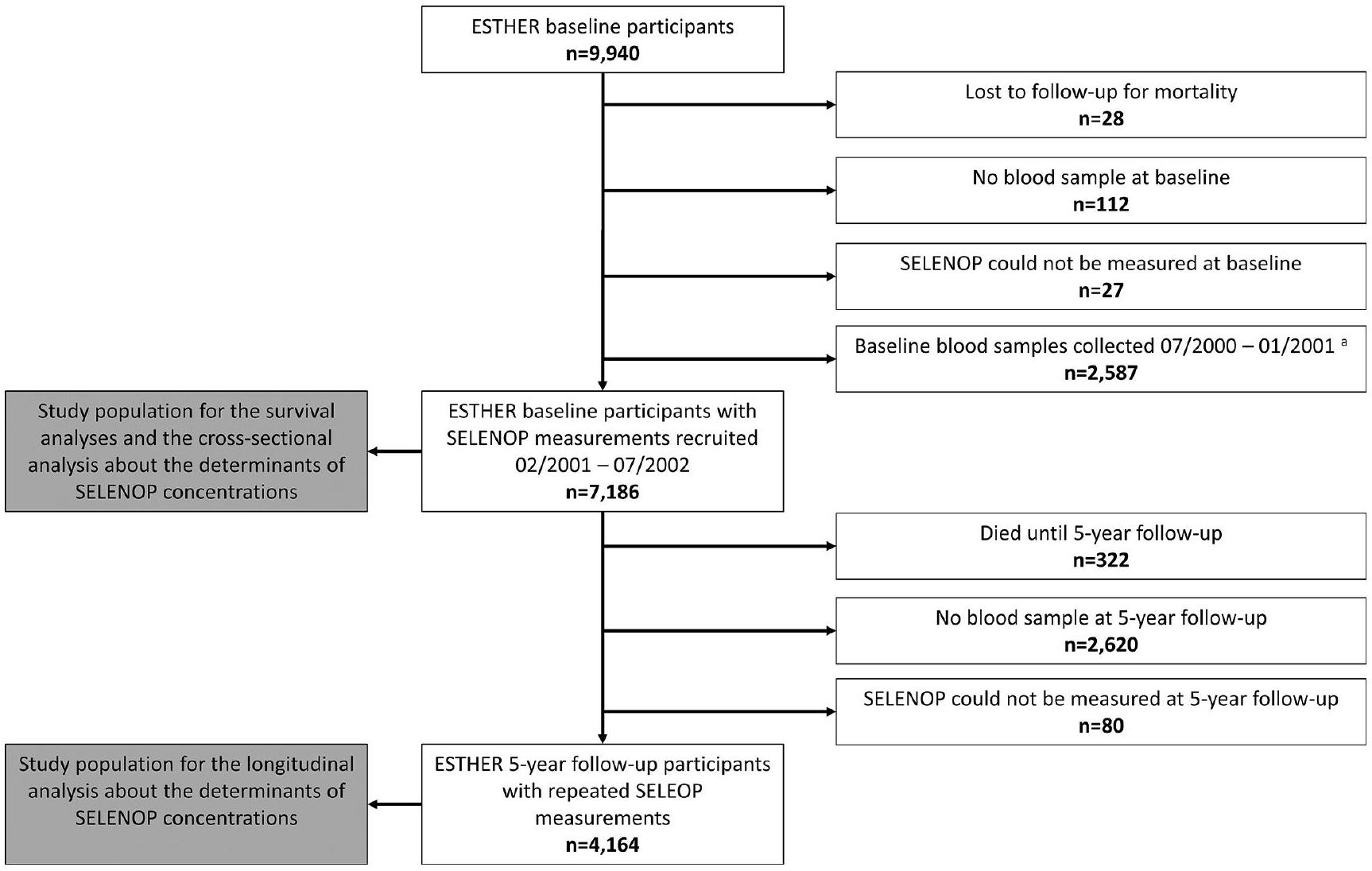 ارتباطات قوية لبروتين السيلينوبروتين P في المصل مع الوفيات بسبب جميع الأسباب والوفيات الناتجة عن السرطان وأمراض القلب والأوعية الدموية وأمراض الجهاز التنفسي والجهاز الهضمي لدى كبار السن الألمان Strong associations of serum selenoprotein P with all-cause mortality and mortality due to cancer, cardiovascular, respiratory and gastrointestinal diseases in older German adults