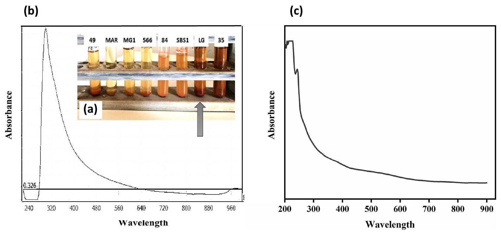 الجسيمات النانوية السيلينيوم البيوجينية وكونجوجيت السيلينيوم/الكيتوزان التي تم تخليقها حيوياً بواسطة ستربتوميسيس بارفولوس MAR4 مع إمكانيات مضادة للميكروبات ومضادة للسرطان Biogenic selenium nanoparticles and selenium/chitosan-Nanoconjugate biosynthesized by Streptomyces parvulus MAR4 with antimicrobial and anticancer potential
