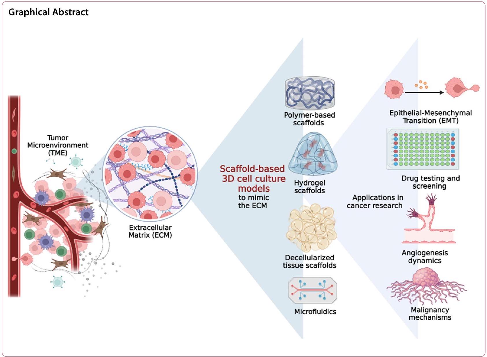 نماذج زراعة الخلايا ثلاثية الأبعاد المعتمدة على الهياكل في أبحاث السرطان Scaffold-based 3D cell culture models in cancer research