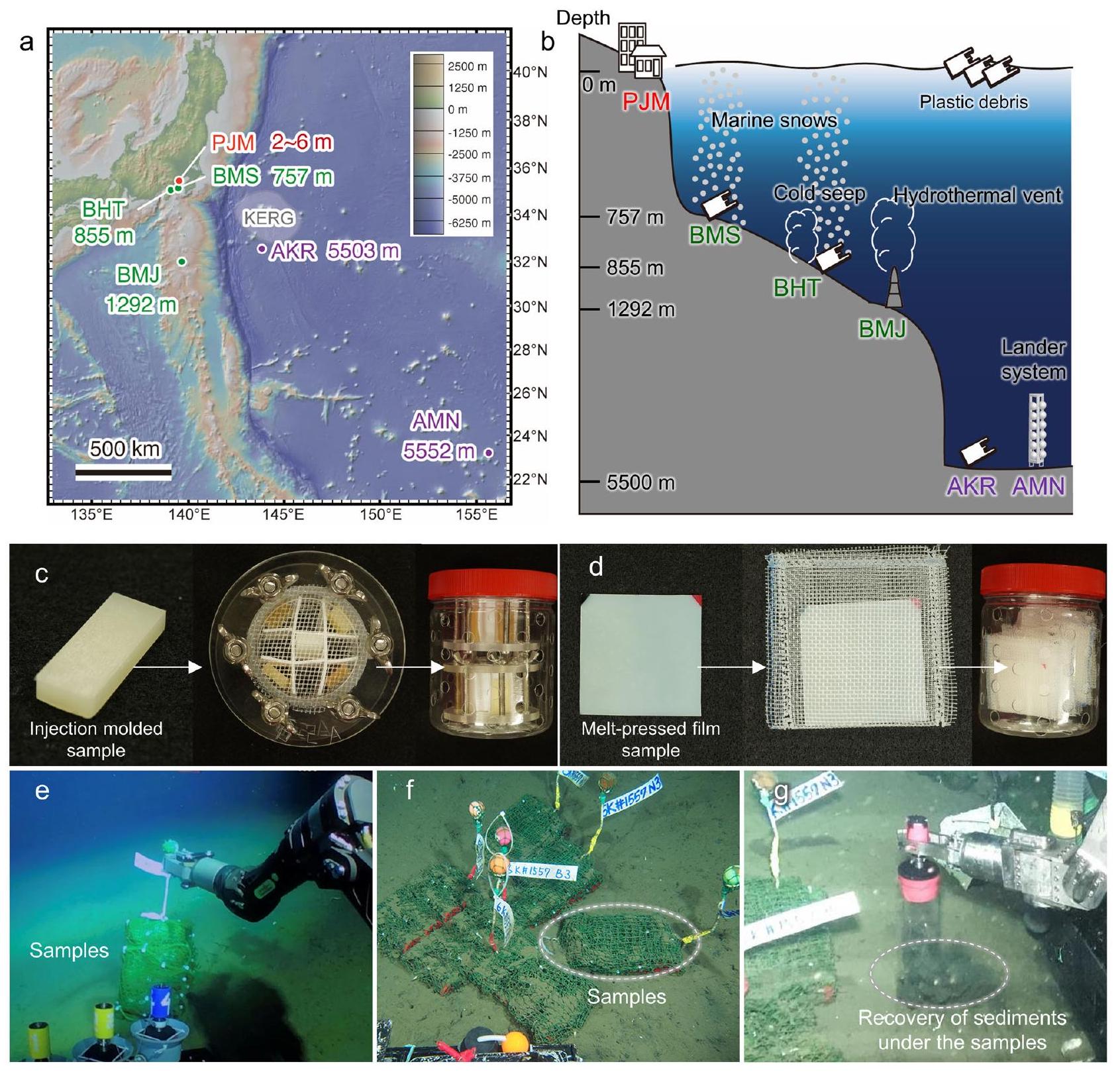 تحلل الميكروبات للبلاستيك القابل للتحلل في قاع البحر العميق Microbial decomposition of biodegradable plastics on the deep-sea floor