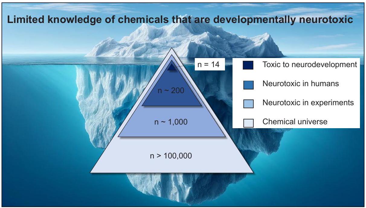 إحداث ثورة في اختبار السمية العصبية التنموية – رحلة من نماذج الحيوانات إلى الأنظمة المتقدمة في المختبر Revolutionizing developmental neurotoxicity testing – a journey from animal models to advanced in vitro systems
