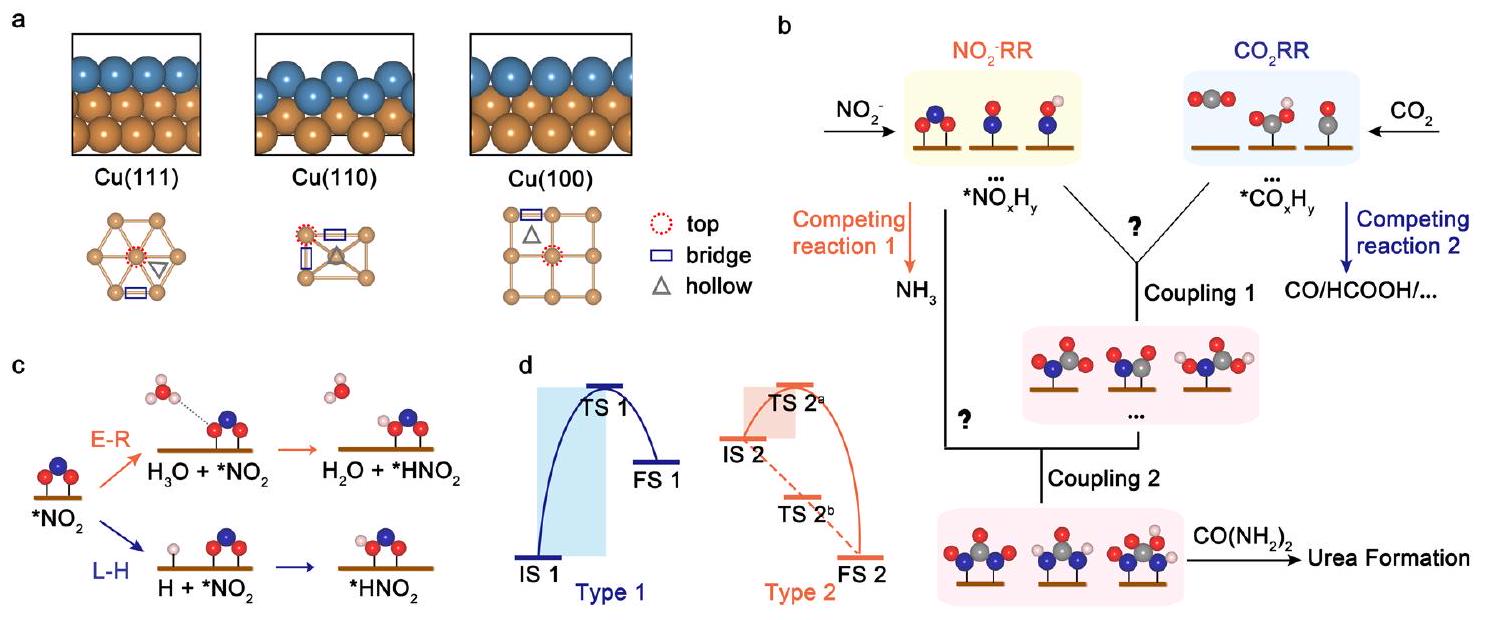 الجهد وتأثير الطبقة المزدوجة الكهربائية في تخليق اليوريا الكهروكيميائي Potential and electric double-layer effect in electrocatalytic urea synthesis