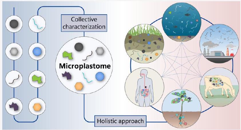 الميكروبلاستوم – منظور شامل لالتقاط البيئة الحقيقية للميكروبلاستيك The “Microplastome” – A Holistic Perspective to Capture the Real-World Ecology of Microplastics