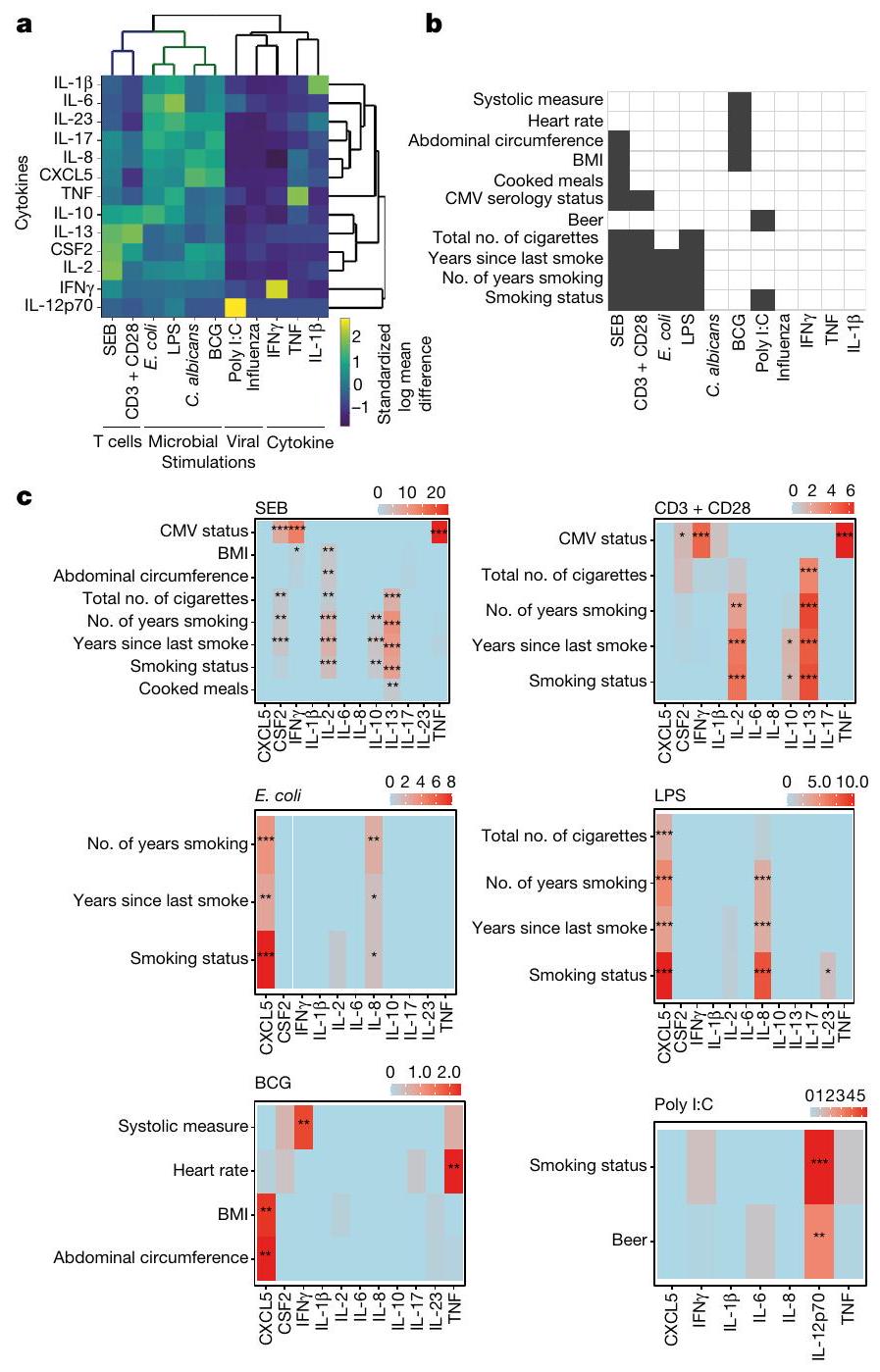 التدخين يغير المناعة التكيفية مع آثار مستمرة Smoking changes adaptive immunity with persistent effects