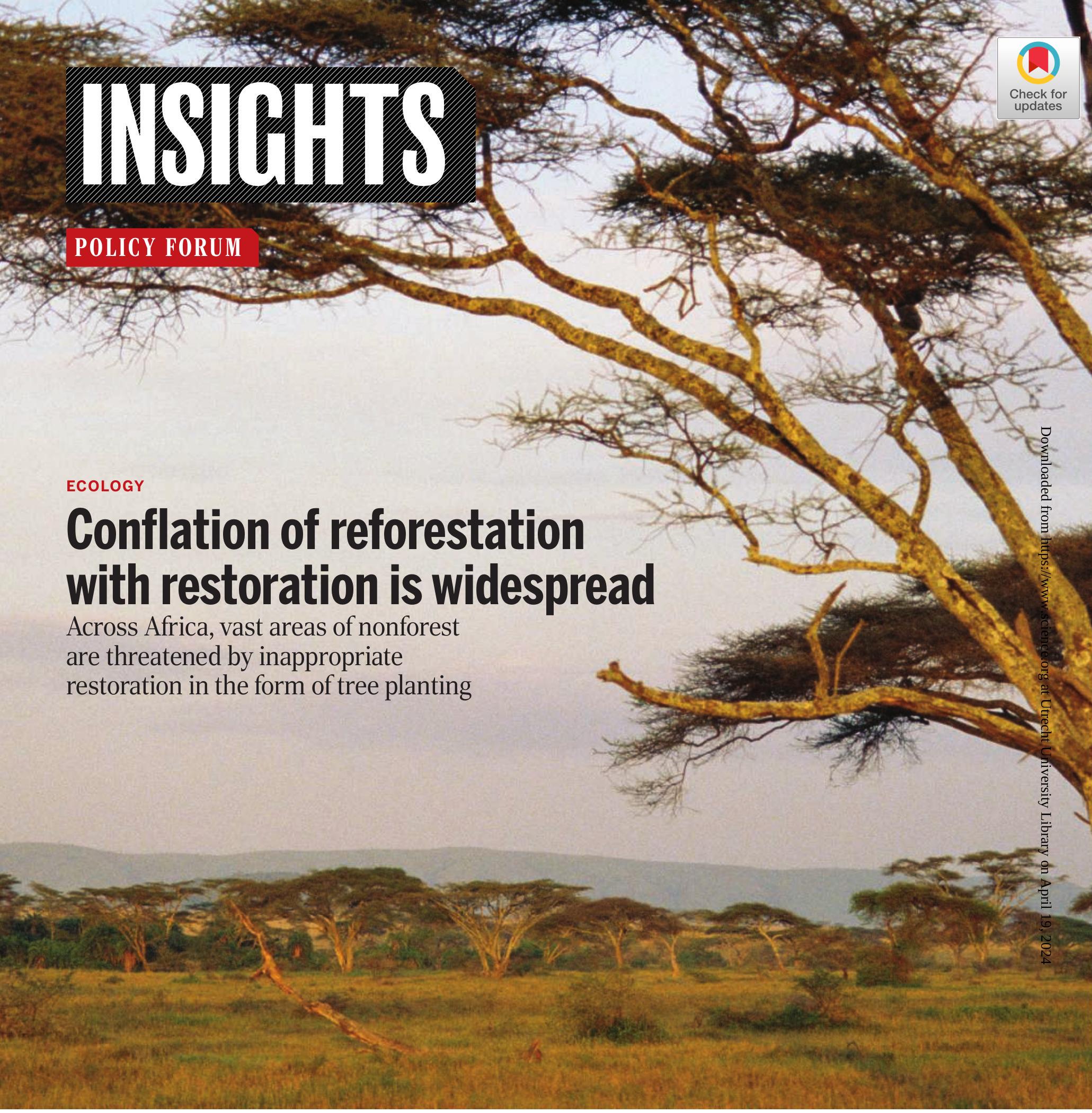 الخلط بين إعادة التشجير والترميم شائع جدًا Conflation of reforestation with restoration is widespread