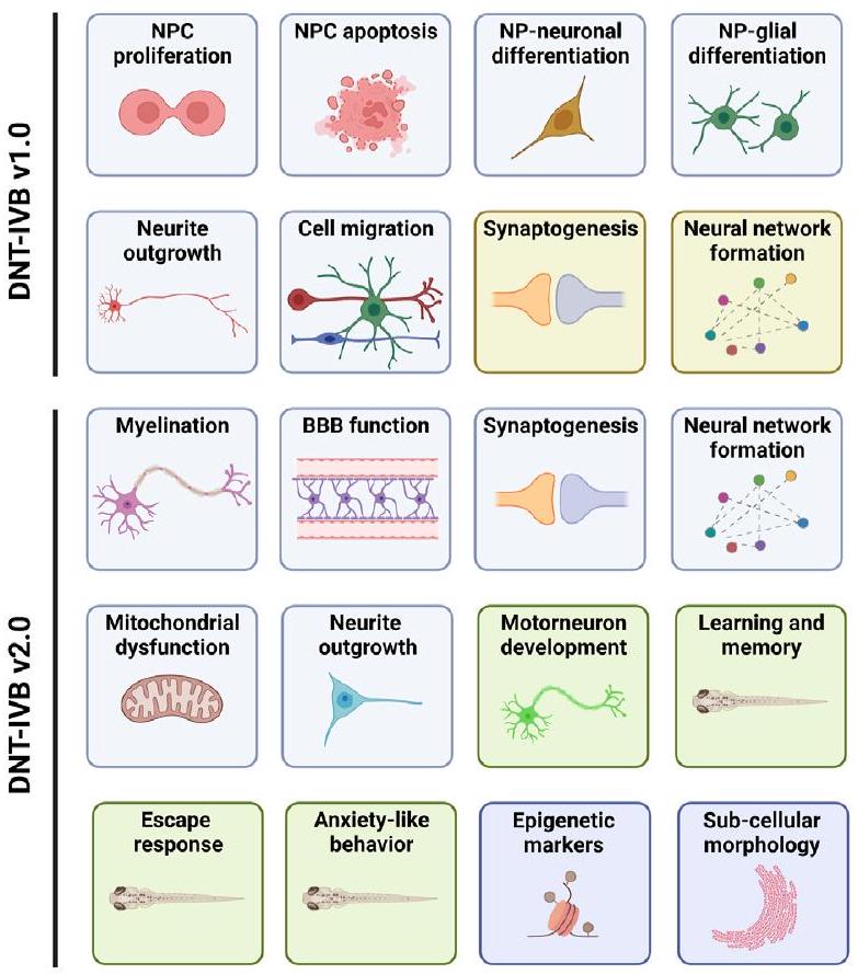 طرق جديدة لتقييم السمية العصبية التنموية والبالغة للاستخدام التنظيمي: مشروع حزمة العمل 5 من PARC New approach methods to assess developmental and adult neurotoxicity for regulatory use: a PARC work package 5 project