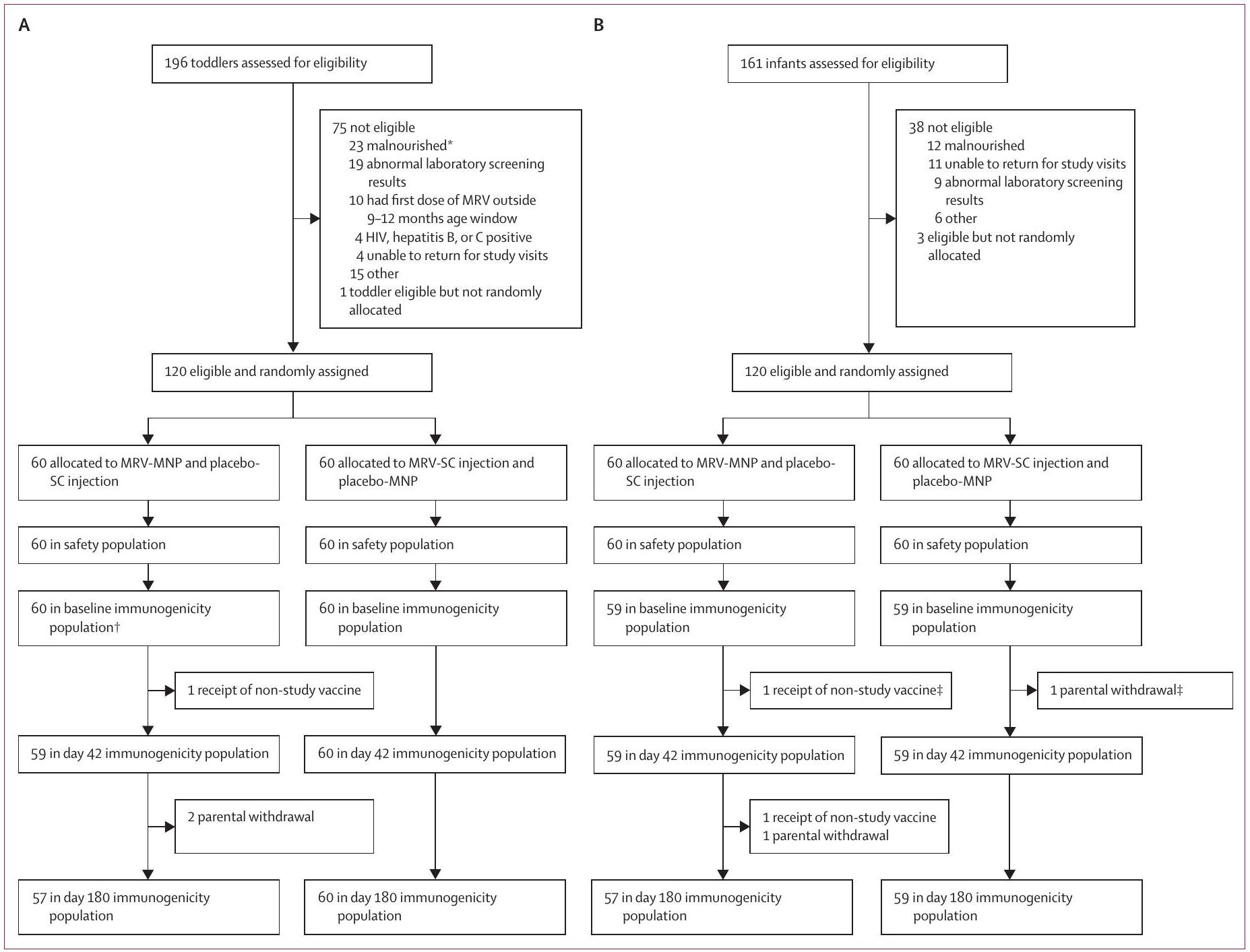 لصقة ميكرونيدل لقاح الحصبة والحصبة الألمانية في غامبيا: تجربة عشوائية مزدوجة التعمية، مزدوجة الدواء الوهمي، من المرحلة 1/2، مضبوطة نشطة، بتخفيض العمر A measles and rubella vaccine microneedle patch in The Gambia: a phase 1/2, double-blind, double-dummy, randomised, active-controlled, age de-escalation trial