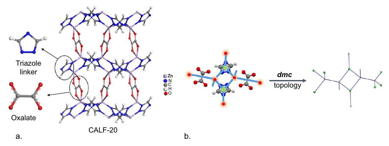 استكشاف امتصاص الغاز ومرونة الإطار لـ CALF-20 من خلال التجارب والمحاكاة Gas adsorption and framework flexibility of CALF-20 explored via experiments and simulations