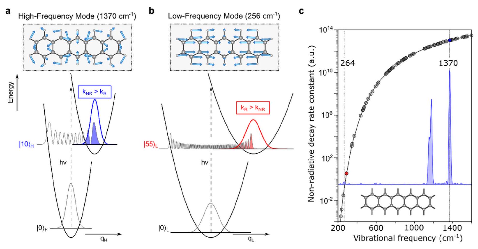 فصل الإثكترات عن الاهتزازات عالية التردد في الجزيئات العضوية Decoupling excitons from high-frequency vibrations in organic molecules