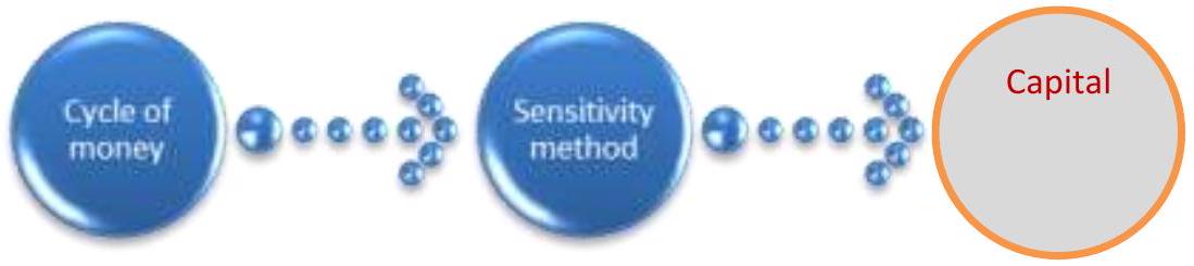 عامل التأثير لرأس المال باستخدام طريقة الحساسية Impact Factor of Capital Using the Sensitivity Method