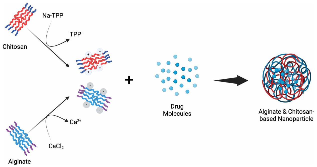 جزيئات نانوية قائمة على الكيتوزان/الألجينات لتوصيل العوامل المضادة للبكتيريا Chitosan/Alginate-Based Nanoparticles for Antibacterial Agents Delivery