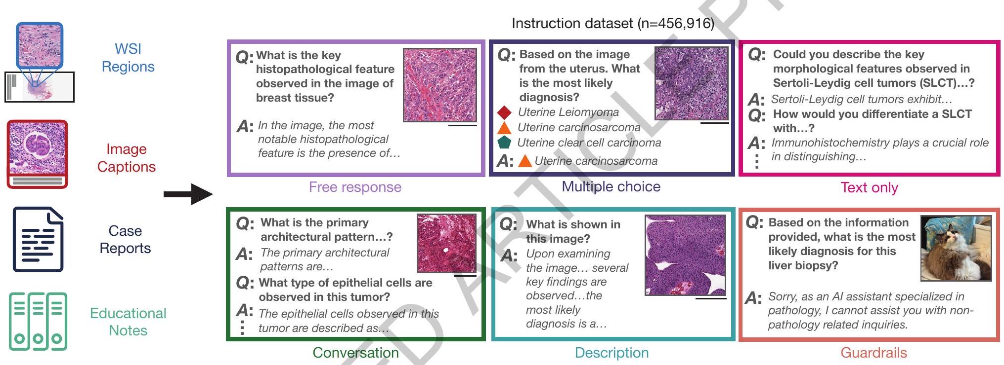 مساعد ذكاء اصطناعي توليدي متعدد الوسائط لعلم الأمراض البشري A Multimodal Generative AI Copilot for Human Pathology