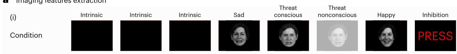 تحديد درجات الدوائر الدماغية المخصصة يميز الأنماط البيولوجية السريرية المختلفة في الاكتئاب والقلق Personalized brain circuit scores identify clinically distinct biotypes in depression and anxiety