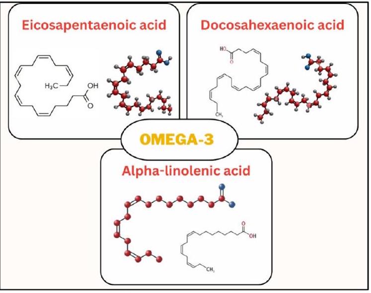 أحماض أوميغا-3 الدهنية: مراجعة علمية شاملة لمصادرها ووظائفها وفوائدها الصحية Omega-3 fatty acids: a comprehensive scientific review of their sources, functions and health benefits