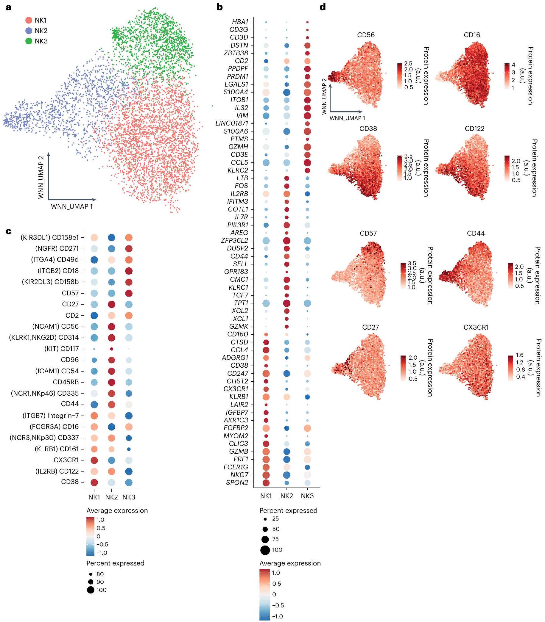 تحليل الخلايا المفردة عالي الأبعاد لتنوع خلايا القاتل الطبيعي البشري High-dimensional single-cell analysis of human natural killer cell heterogeneity