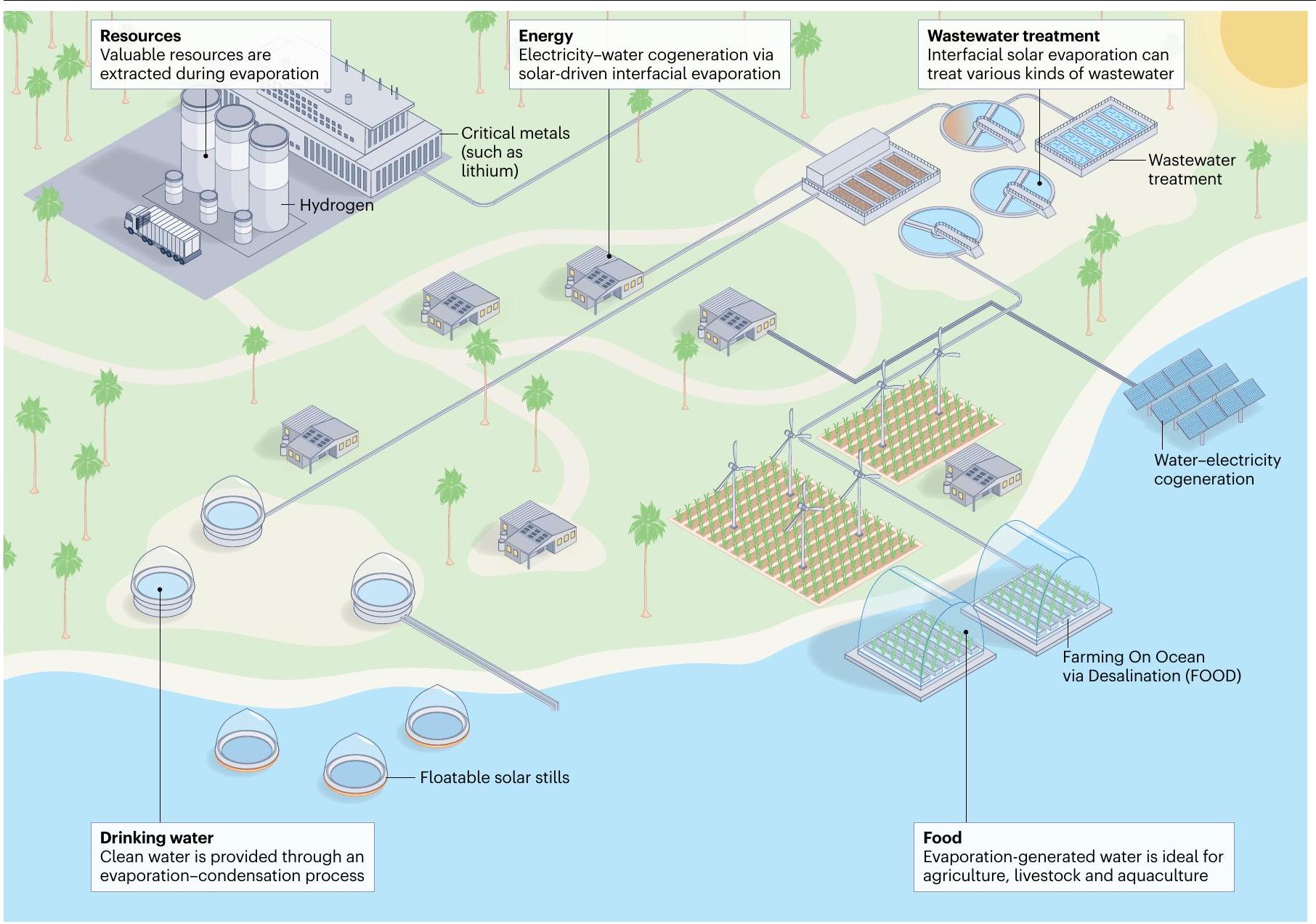 تكنولوجيا التبخر الواجهاتي المدفوعة بالطاقة الشمسية للغذاء والطاقة والمياه Solar-driven interfacial evaporation technologies for food, energy and water