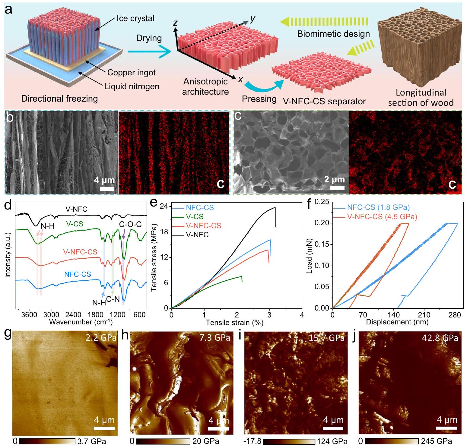 فاصل بيوميميتيك وقابل للتحلل الحيوي بصلابة عالية وموصلية أيونية كبيرة يمكّن بطاريات أيونات الزنك خالية من الشوائب Biomimetic and biodegradable separator with high modulus and large ionic conductivity enables dendrite-free zinc-ion batteries