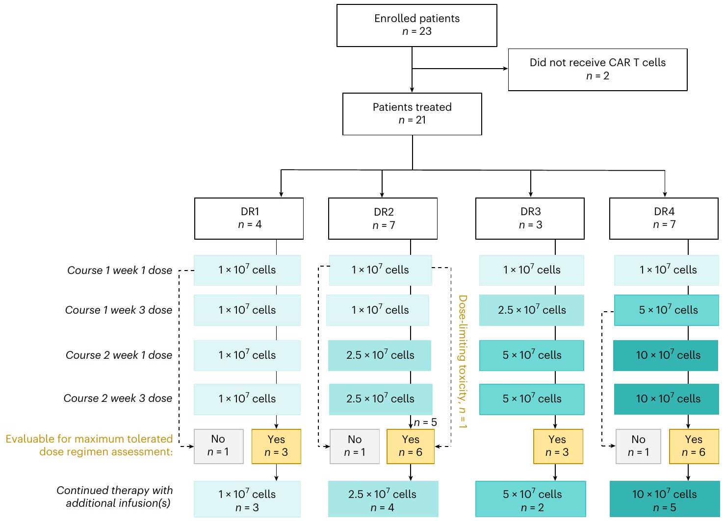 الخلايا التائية CAR المستهدفة لبروتين B7-H3 داخل البطينات الدماغية لعلاج الورم الدبقي الجسري المنتشر في الجسر: تجربة المرحلة الأولى Intracerebroventricular B7-H3-targeting CAR T cells for diffuse intrinsic pontine glioma: a phase 1 trial