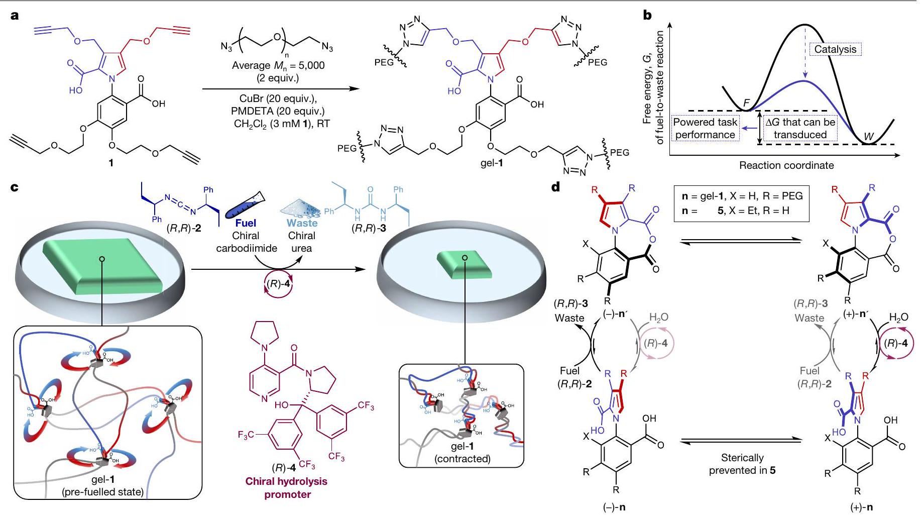 تحويل الطاقة الكيميائية من خلال التحفيز بواسطة محرك جزيئي صناعي Transducing chemical energy through catalysis by an artificial molecular motor