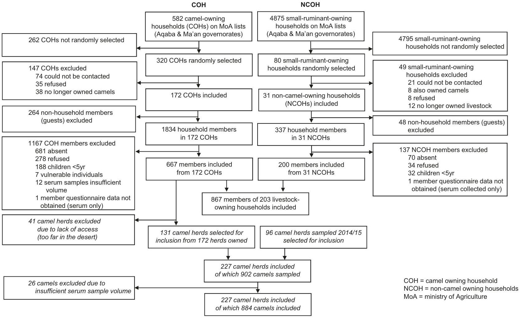 حليب الإبل هو مصدر مهمل للحمى المالطية بين المجتمعات العربية الريفية Camel milk is a neglected source of brucellosis among rural Arab communities