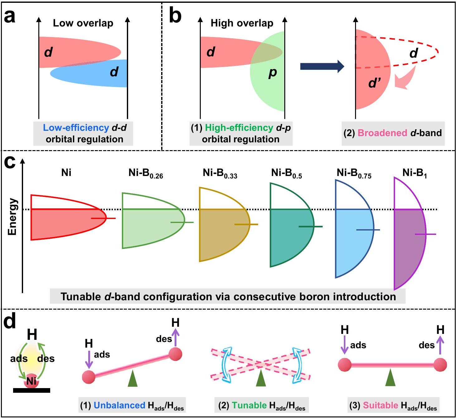 تحسين تزاوج d-p في المحفز المساعد Ni-Bx لزيادة إنتاج الهيدروجين الضوئي Fine-tuning d-p hybridization in Ni-Bx cocatalyst for enhanced photocatalytic H2 production