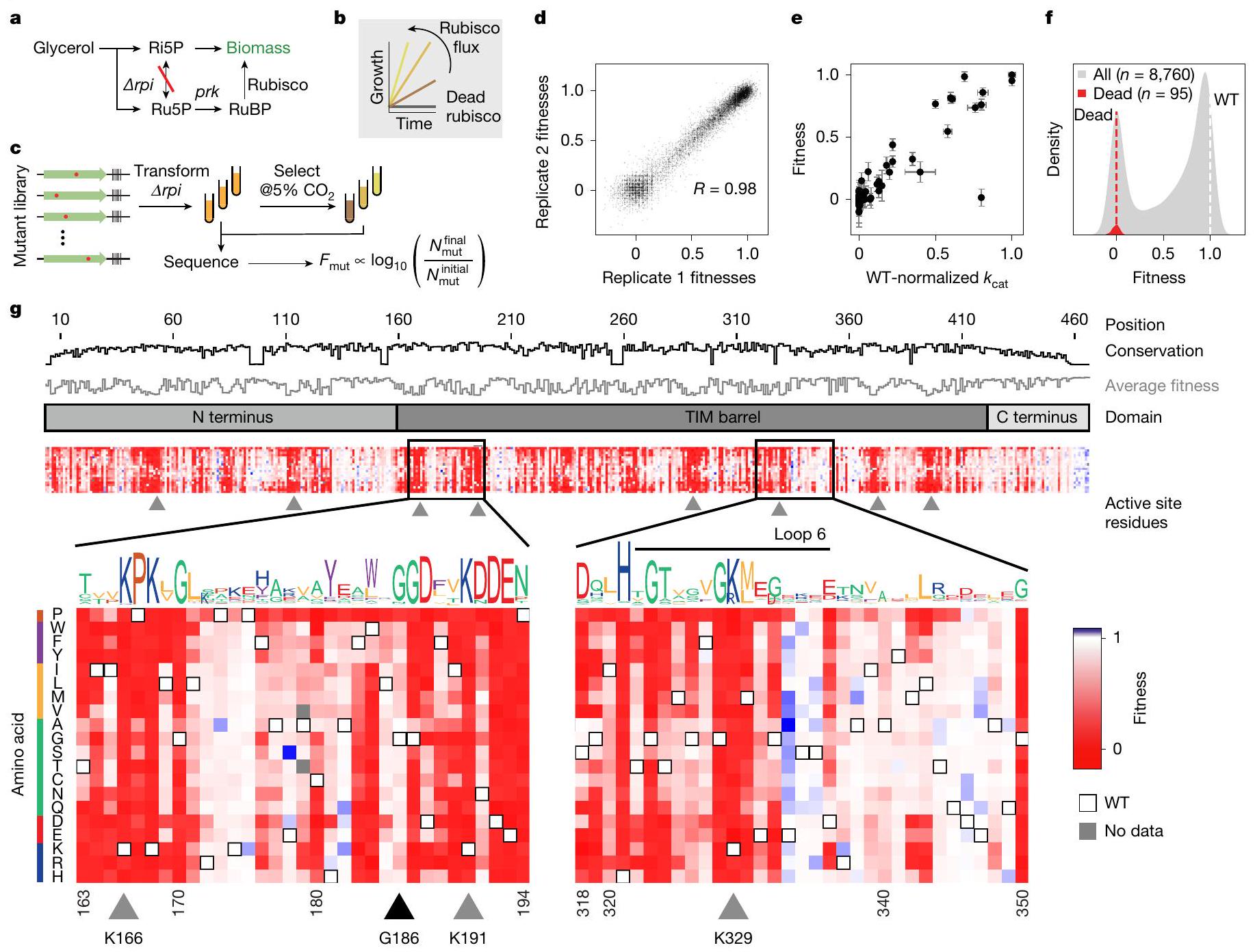 خريطة المشهد البيوكيميائي للروبيسكو A map of the rubisco biochemical landscape