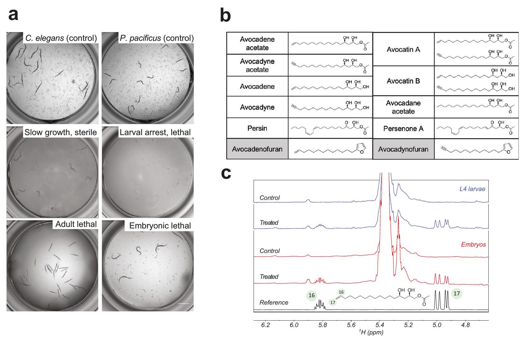 فئة جديدة من الأدوية الطاردة للديدان الطبيعية تستهدف استقلاب الدهون A new class of natural anthelmintics targeting lipid metabolism