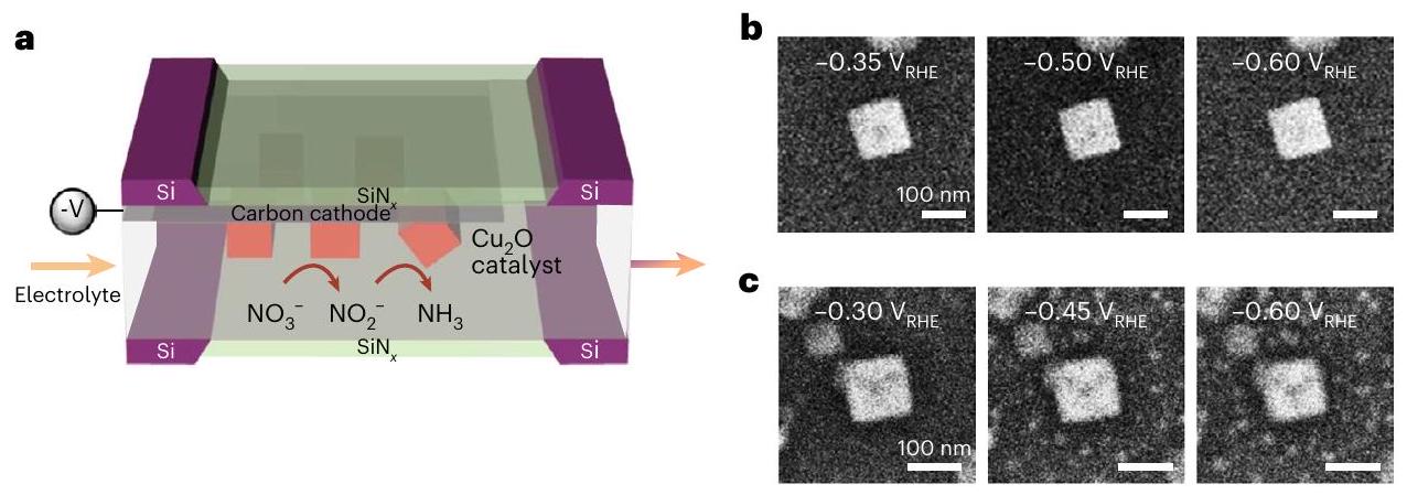 كشف إعادة هيكلة المحفز وتكوينه أثناء اختزال النترات الكهربائي من خلال المجهر الطيفي والتشغيلي المرتبط Revealing catalyst restructuring and composition during nitrate electroreduction through correlated operando microscopy and spectroscopy