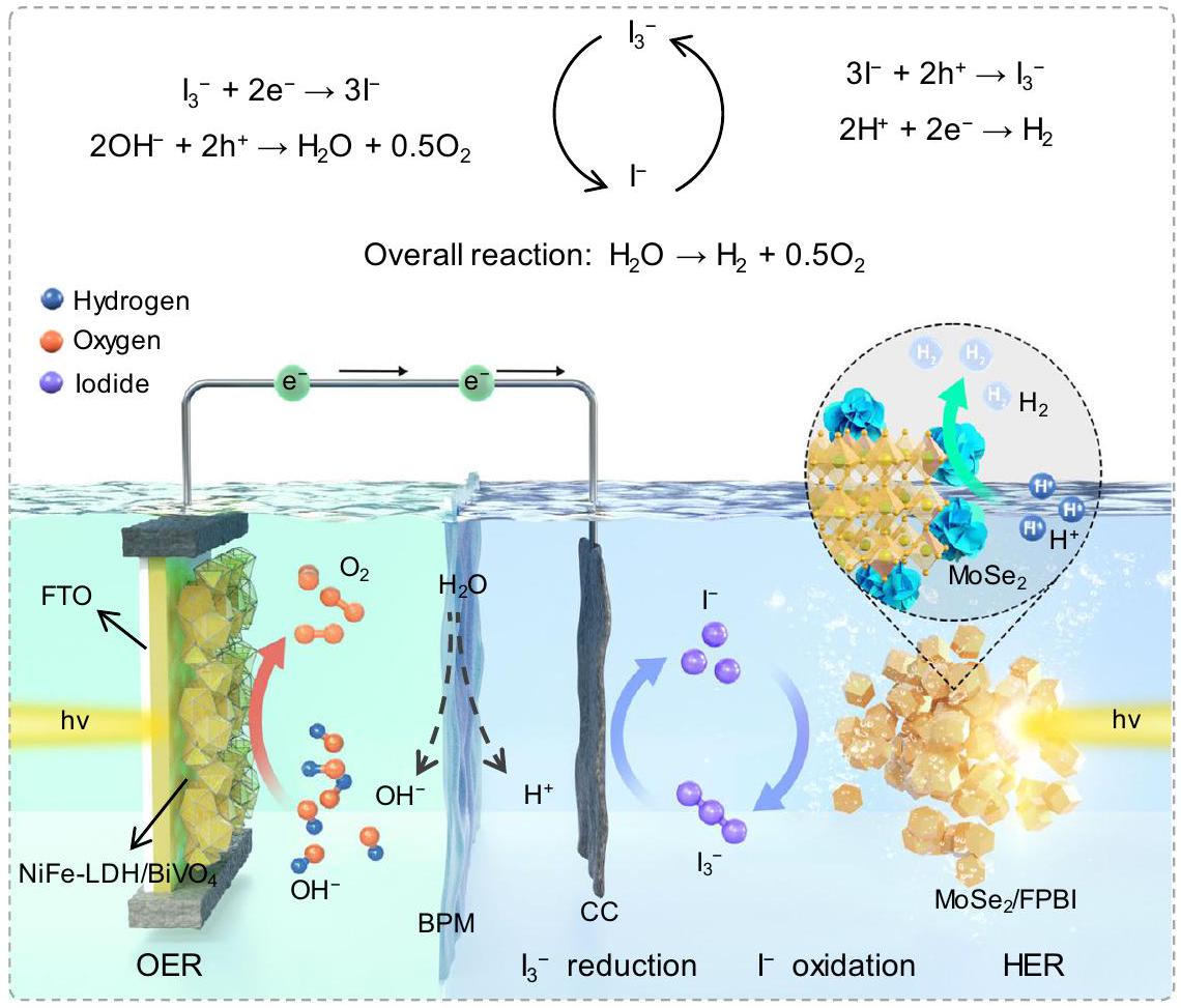 نظام ضوئي محفز مدفوع بالطاقة الشمسية قابل للتوسع لإنتاج الهيدروجين والأكسجين المنفصلين من الماء A scalable solar-driven photocatalytic system for separated H2 and O2 production from water