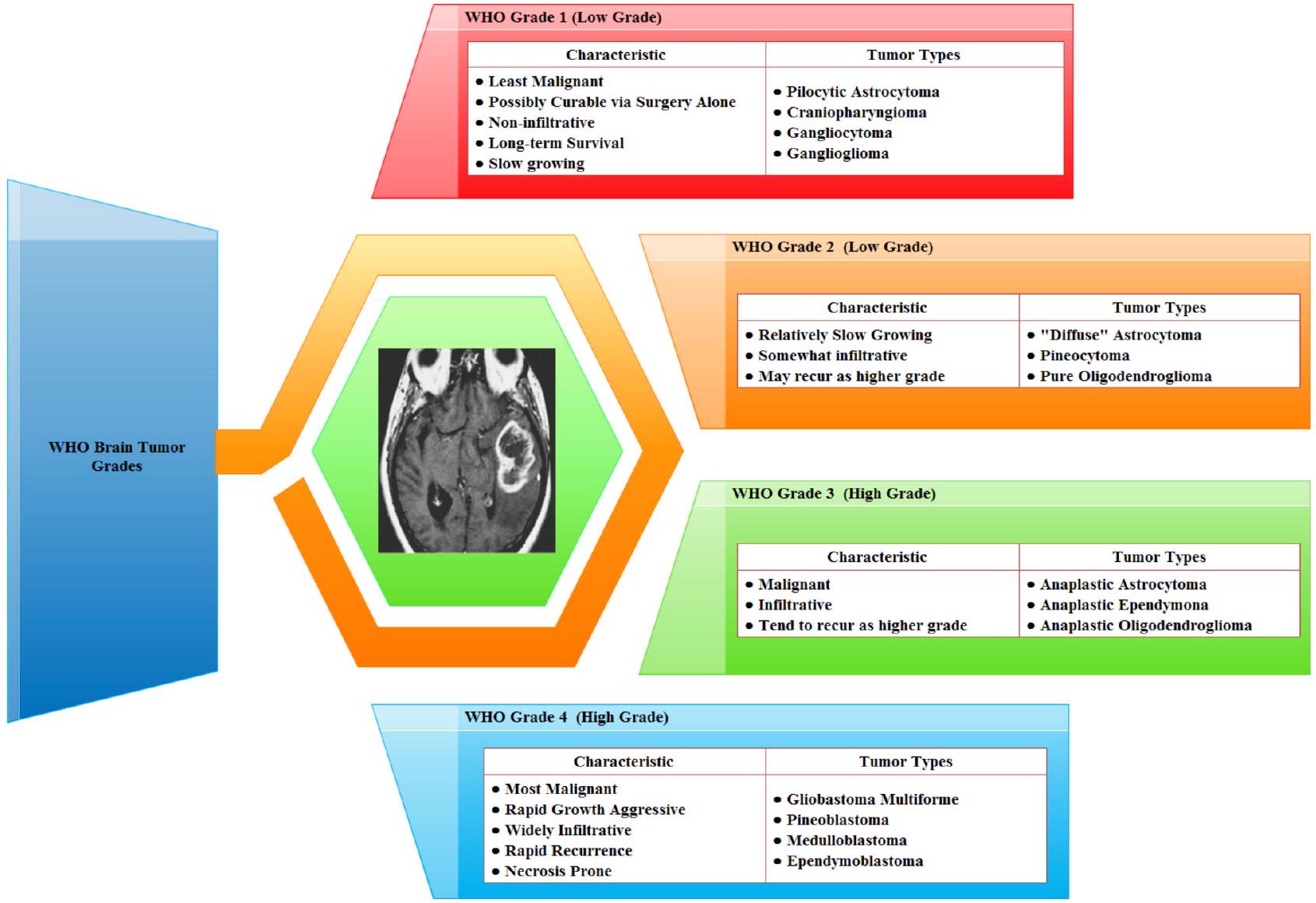 تحليل أورام الدماغ باستخدام التصوير بالرنين المغناطيسي المدمج مع التعلم العميق: استخراج الميزات، والتقسيم، وتوقع البقاء باستخدام الشبكات المكررة والشبكات الحجمية Deep learning-integrated MRI brain tumor analysis: feature extraction, segmentation, and Survival Prediction using Replicator and volumetric networks