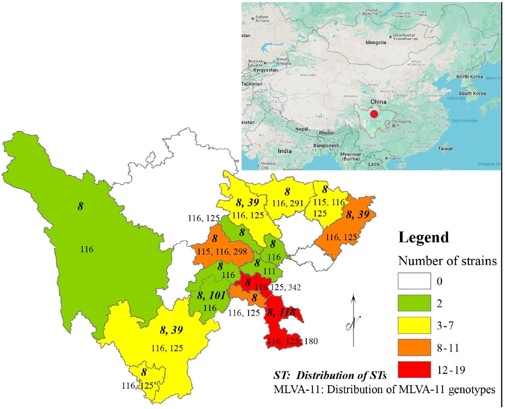 أطلس التنوع الجيني لسلالات بروسيلة ميلتينسيس من مقاطعة سيتشوان، الصين Genetic diversity atlas of Brucella melitensis strains from Sichuan Province, China